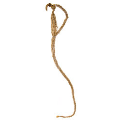 Close-up of a rope on white background