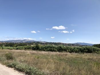 Scenic view of landscape against blue sky