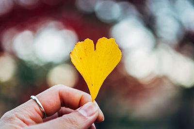 Cropped hand of woman holding yellow petal