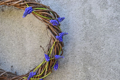 Close-up of wreath hanging on wall