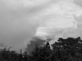 Low angle view of trees against sky