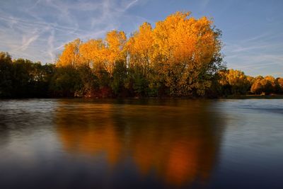 Scenic view of lake by trees against orange sky