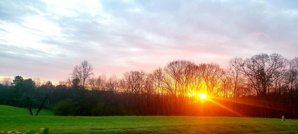 Trees on field against sky during sunset