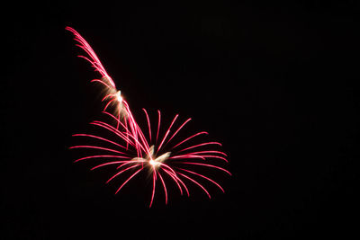 Firework display at night