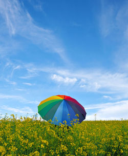 Multicolored umbrella on field against blue sky