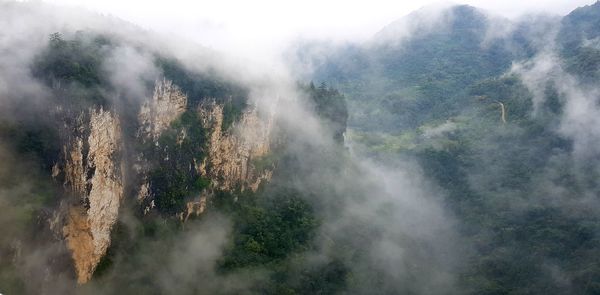 High angle view of trees on mountain