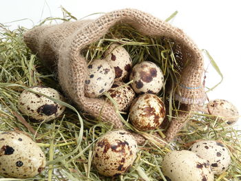 Close-up of eggs