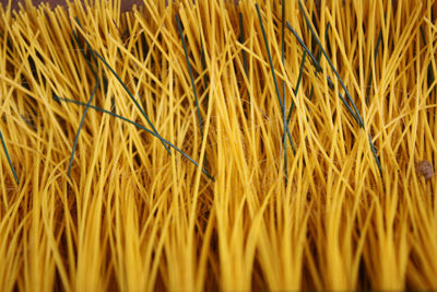 Full frame shot of wheat field