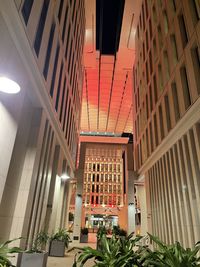 architecture