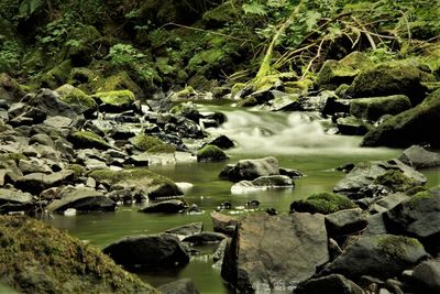 Scenic view of river amidst rocks