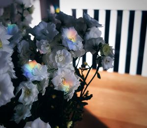 Close-up of flowers