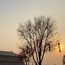 Low angle view of silhouette tree against sky during sunset