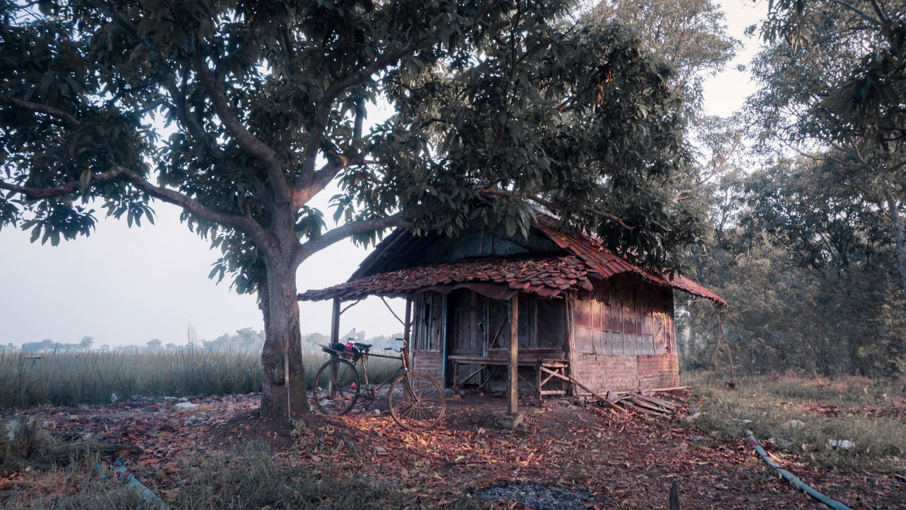 VIEW OF ABANDONED HOUSE ON FIELD