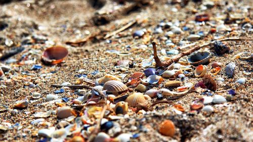 Surface level of pebbles