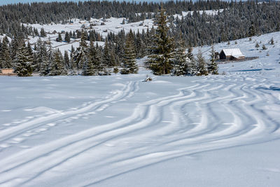 Snow covered field by trees