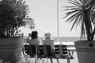 Rear view of woman sitting on chair by palm trees