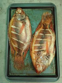 High angle view of fish in container