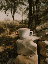 Close-up of coffee cup on rock