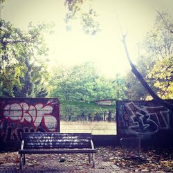 Empty bench in park