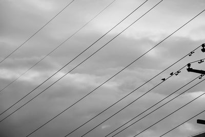 Low angle view of birds perching on cable