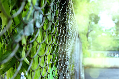 Close-up of chainlink fence in sunny day