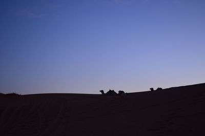 Silhouette of tourists on sand dune