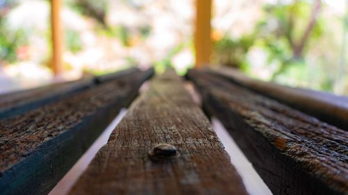 Close-up of wooden bench in forest