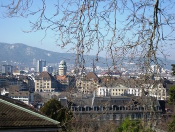 High angle shot of townscape