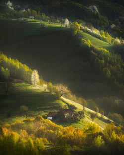 Springtime in the mountain villages near brasov.