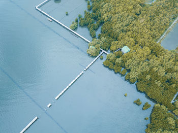 High angle view of road amidst trees