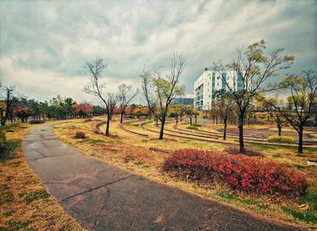 Footpath in park against sky