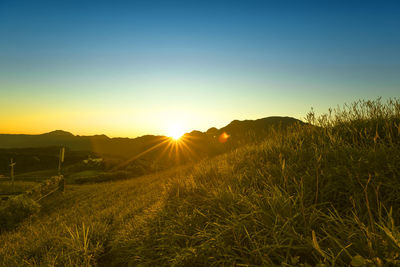 Scenic view of field against sky during sunset