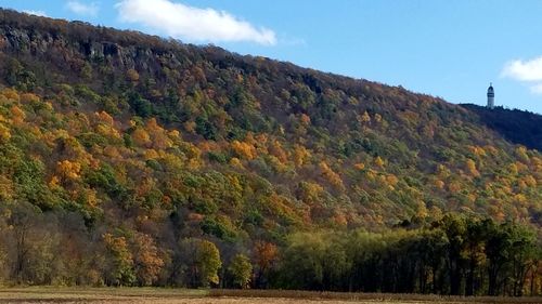 Scenic view of tree mountains against sky