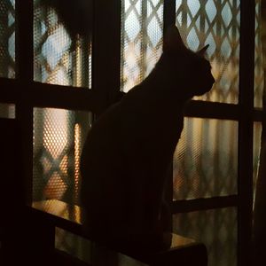 Man hand on window at home