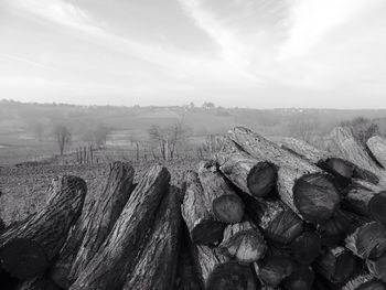 Scenic view of landscape against sky