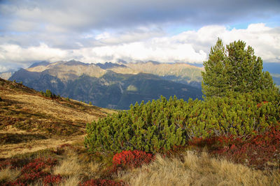 Scenic view of landscape and mountains against sky