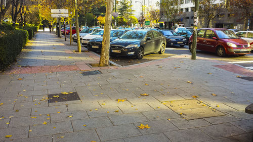 View of city street