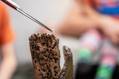 Close-up of hand holding ice cream