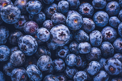 Full frame shot of blueberries