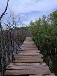 Boardwalk amidst trees on landscape against sky