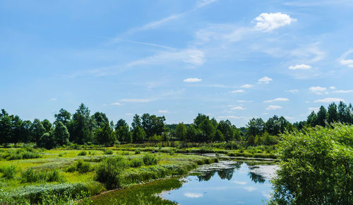 Scenic view of lake against sky