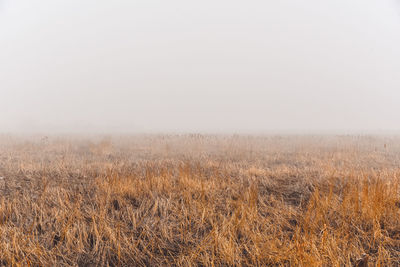 Close-up of sky at sunset