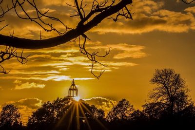 Silhouette trees against dramatic sky during sunset