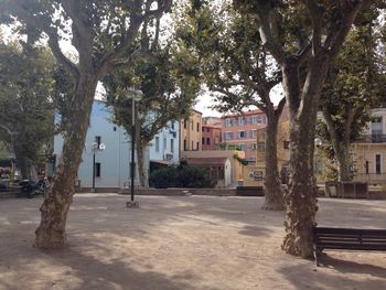 Trees in front of building