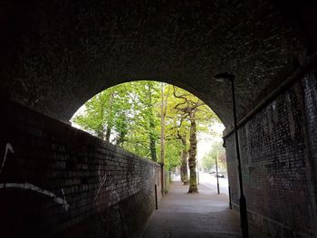 Archway amidst trees