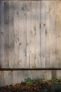 Full frame shot of weathered wooden wall