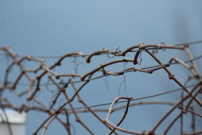 Close-up of fence against clear sky