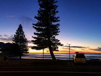 Silhouette of trees at sunset