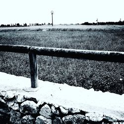 Scenic view of agricultural field against clear sky
