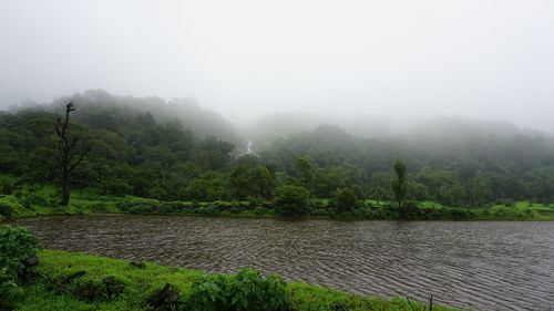 Scenic view of river by trees against sky